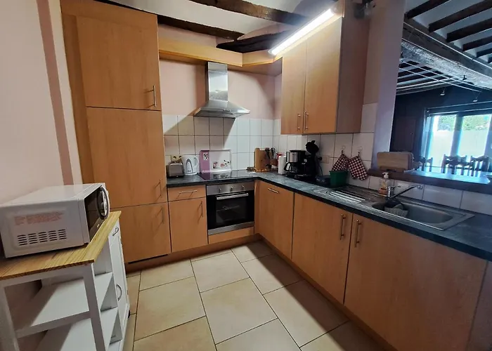 Citadin De L'entreville Лоб