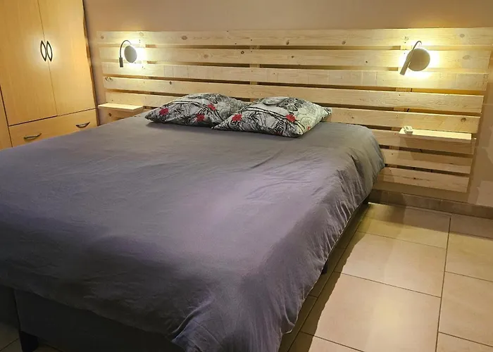 Citadin De L'entreville * Лоб